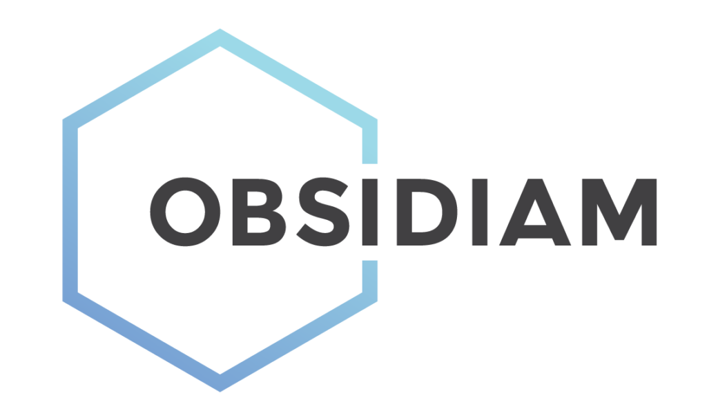 Obsidiam Partnership Blue Bank International N V